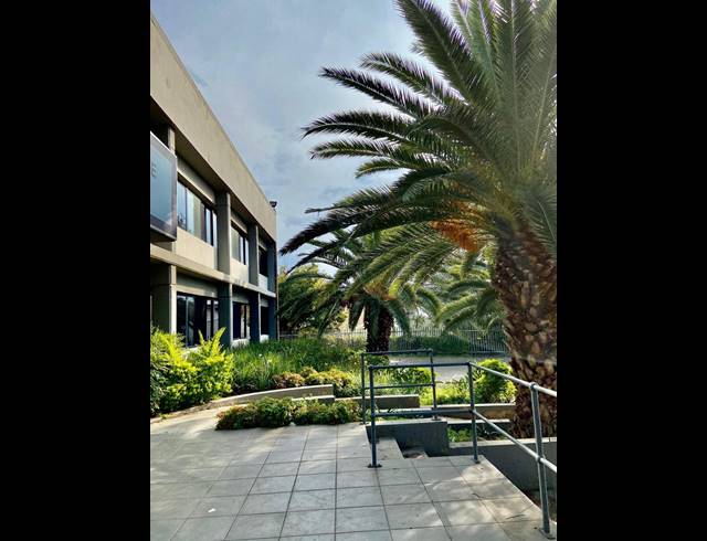 12,263M² WAREHOUSE TO LET IN WYNBERG